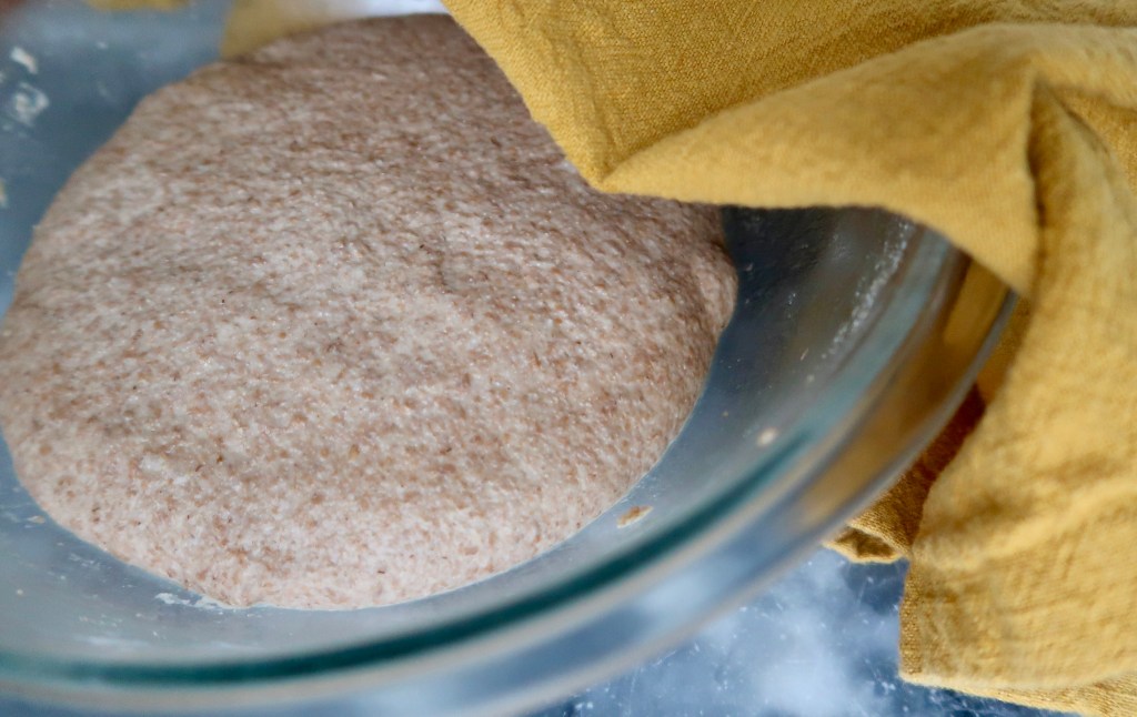 A bowl of risen whole wheat dough covered with a yellow cloth.