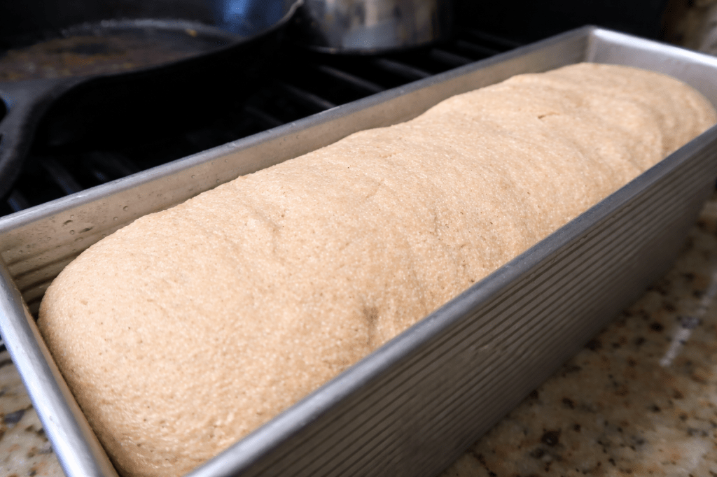 A loaf of dough rising in a metal bread pan on a countertop, with a cast iron skillet in the background.