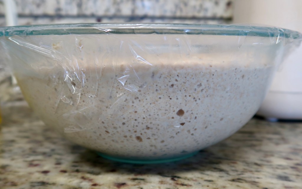 A glass bowl covered with plastic wrap containing rising sourdough starter with visible bubbles.