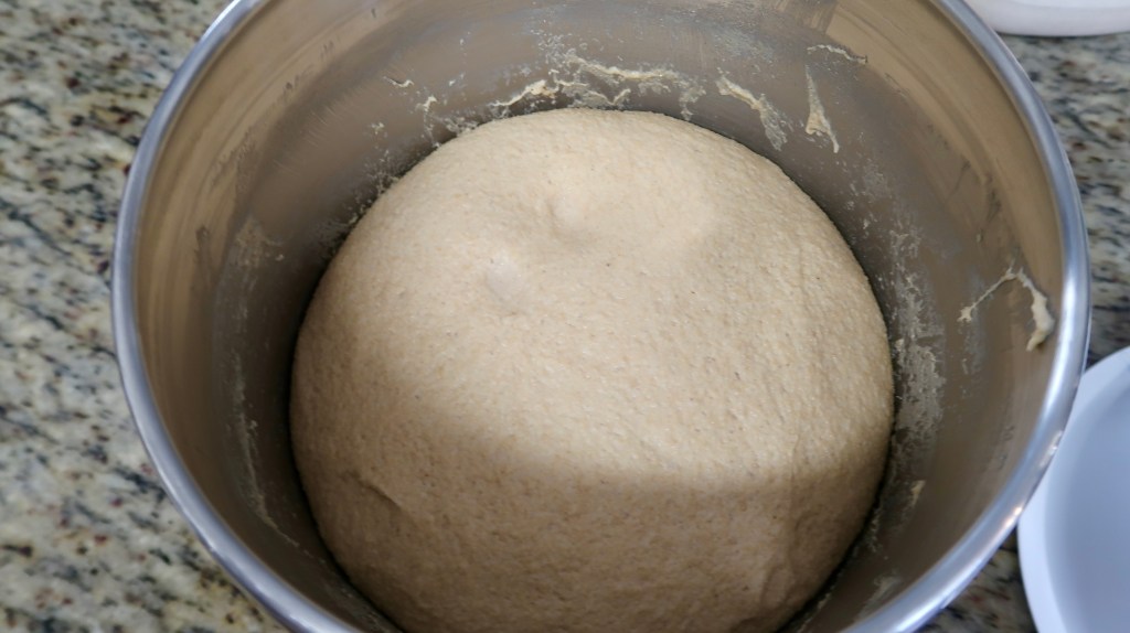 A round ball of dough rising in a stainless steel bowl, placed on a granite countertop.